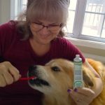 best dog toothpaste