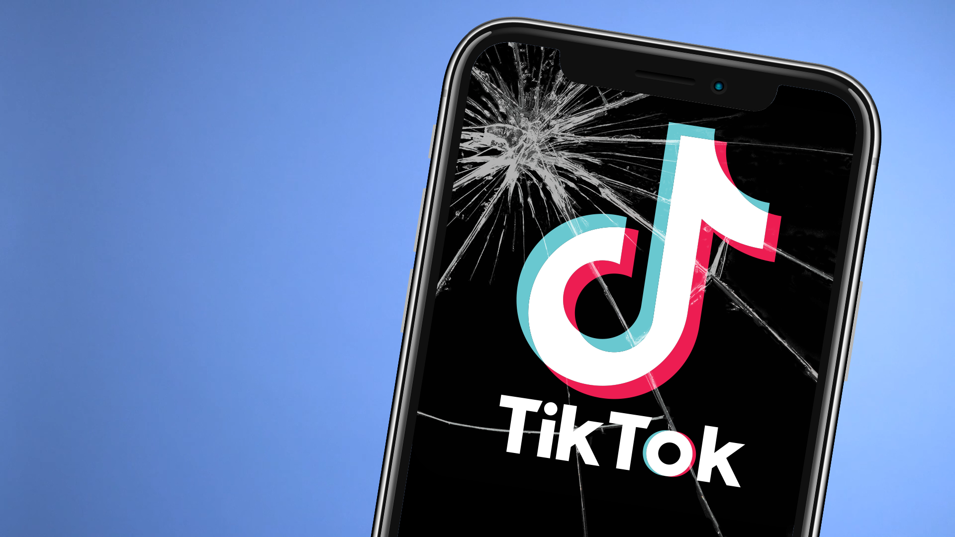 tiktok video downloader
